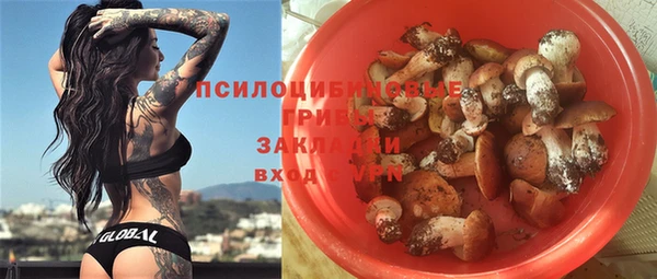 ГАЛЛЮЦИНОГЕННЫЕ ГРИБЫ Зеленодольск